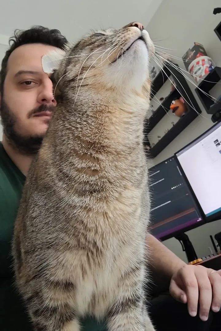 Breno's cat reaching up for a nuzzle